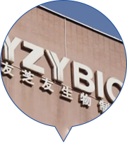 尊龙凯时·(中国)官方网站网址